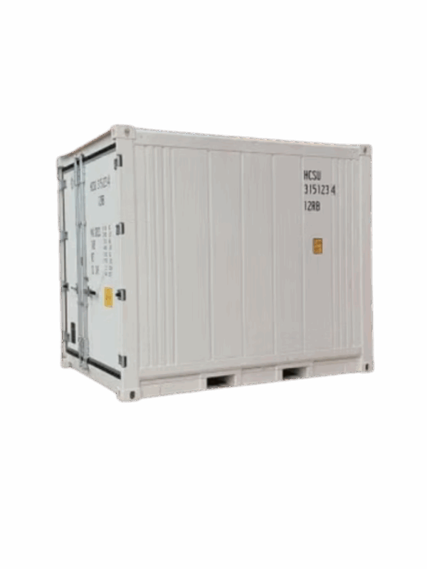 Container frigorifero usato da 10 piedi bianco