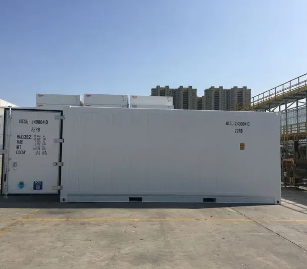 Container reefer domestico da 20 piedi